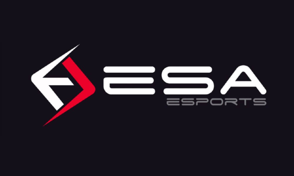 ESA Esports 3 milyon TL yatırım aldı