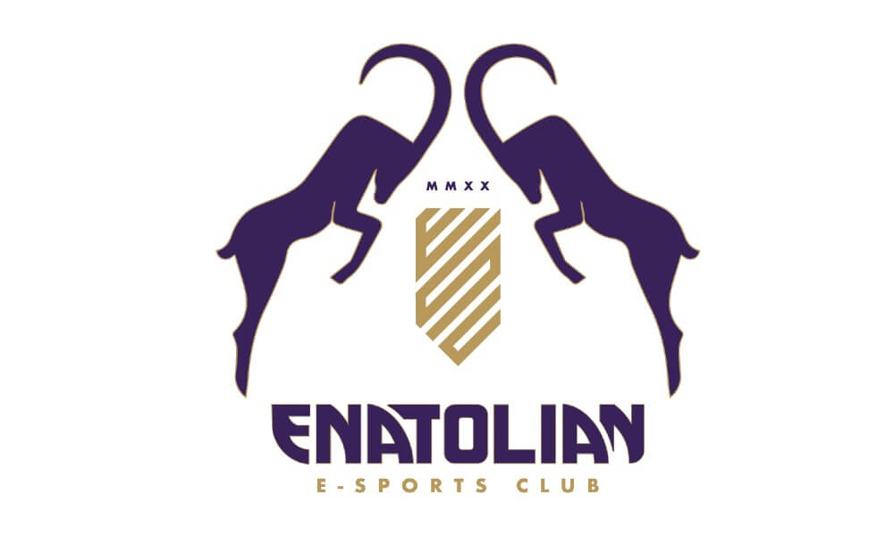 Enatolian Espor Kulübü Kuruldu