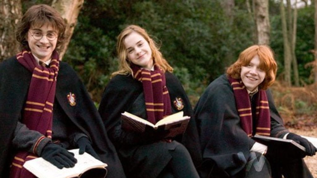 Harry Potter filmlerine ne kadar hakimsin?