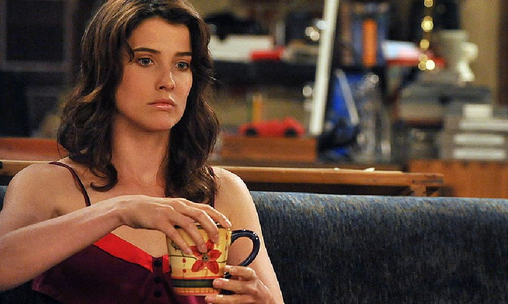 Robin Scherbatsky Testi 4